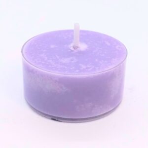 Próbka - Dom wiedźmy